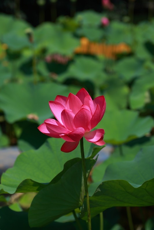 QQ图片20130730121135.jpg
