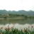 仲美春（广西）